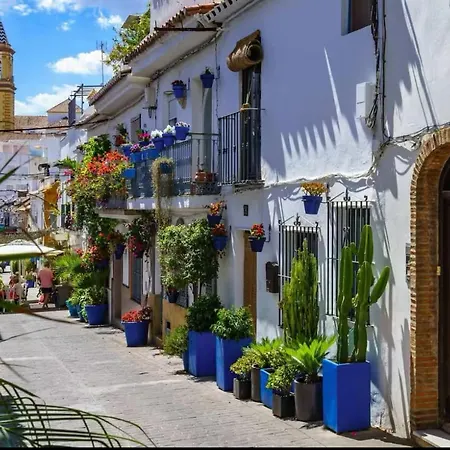 Penthouse Old Town Apartment